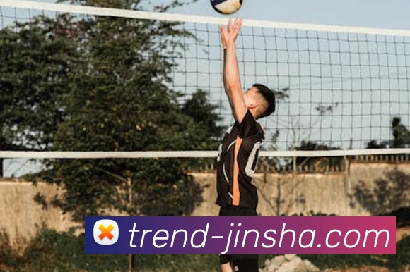 澳门金沙官网平台生态图